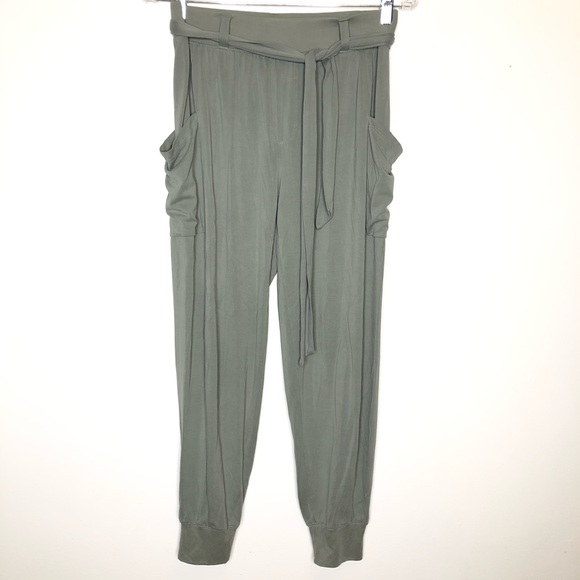 aerie Pants - Aerie Joggers Green Size Small